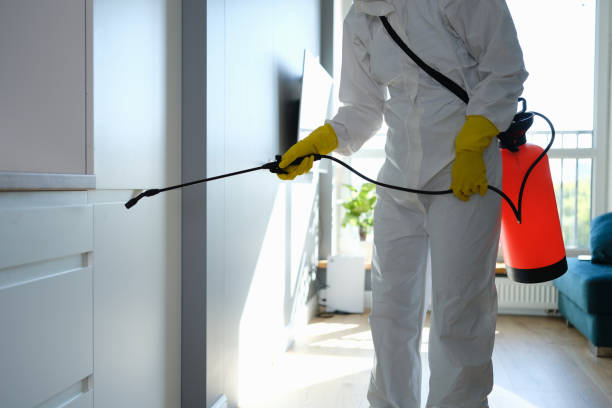 Best Mold Testing and Inspection Services in Thedral City, CA